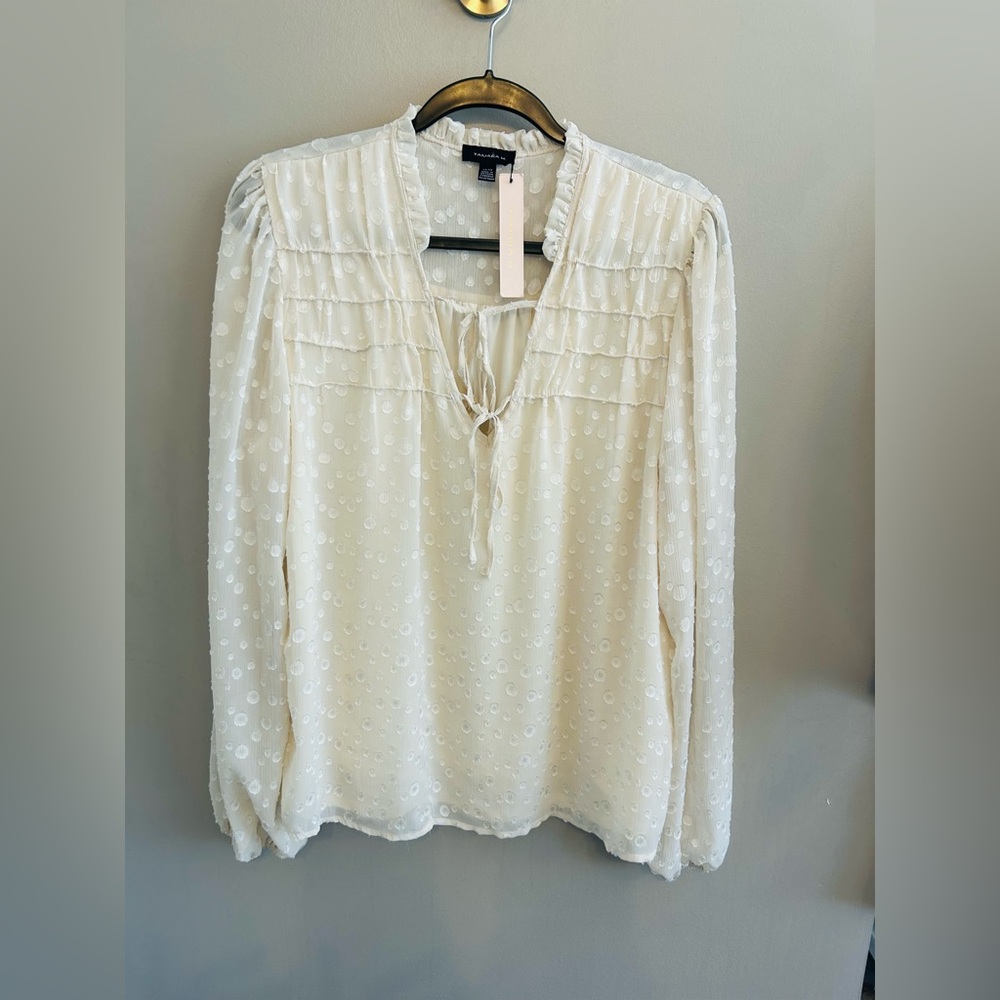 NWT Tamara H ivory sheer polka dot flowing blouse with tie neck. Lined. Size XL